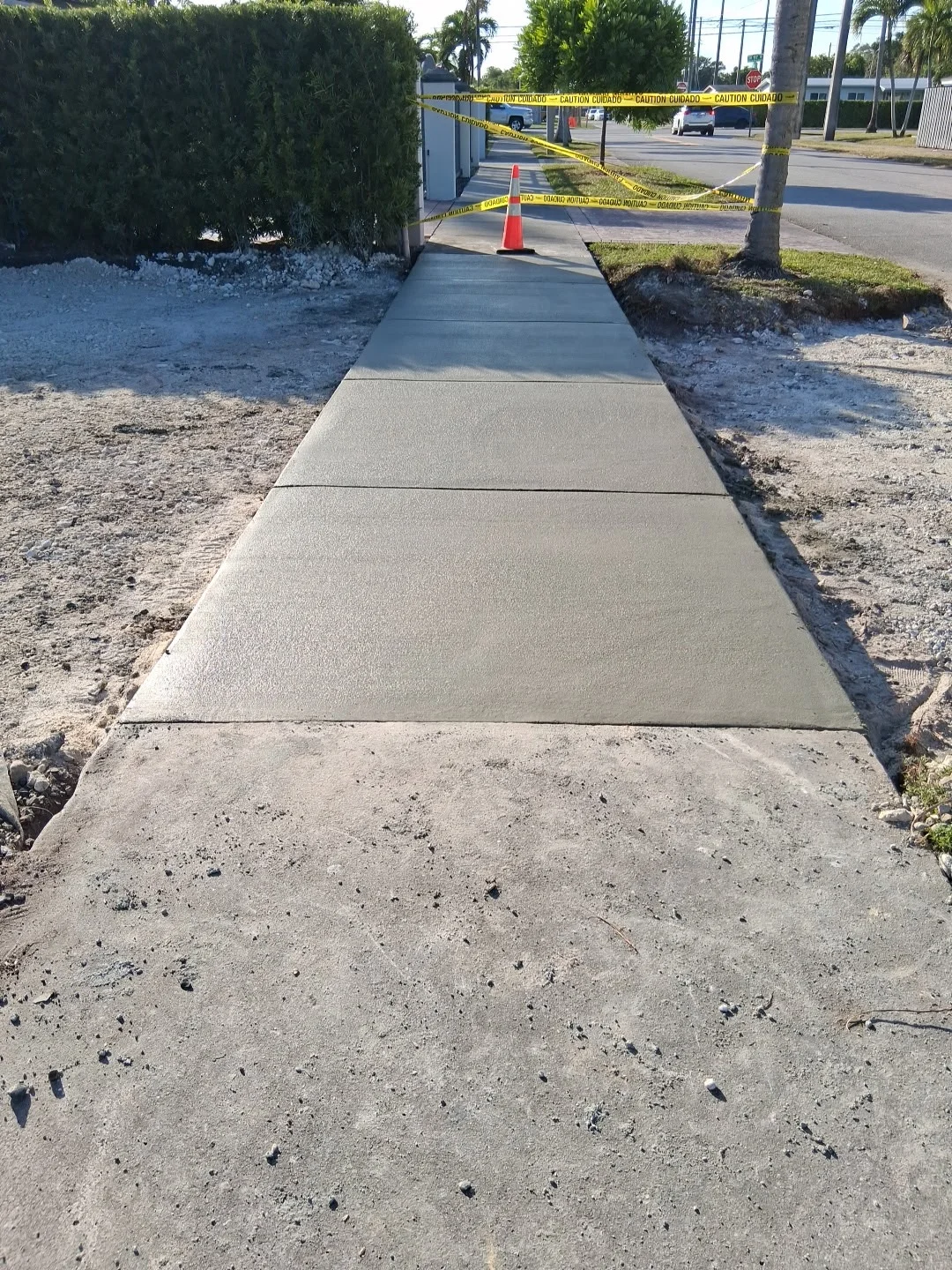 New concrete sidewalk section taped off beside a hedge, Miami, FL